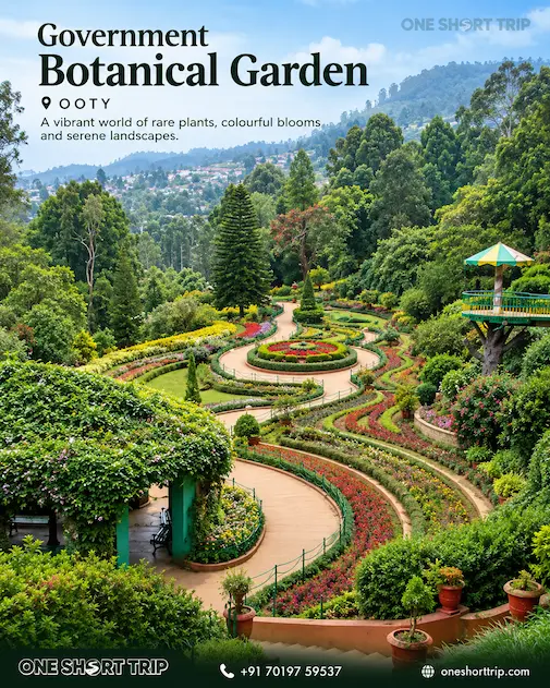 Government Botanical Garden in Ooty