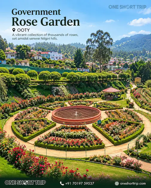 Government Rose Garden in Ooty