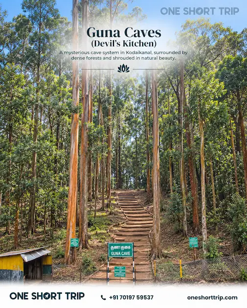 Guna Caves forest area in Kodaikanal