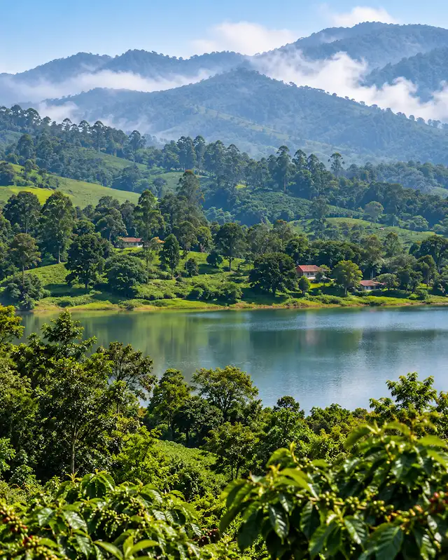 Green hills and a calm lake in a lush landscape