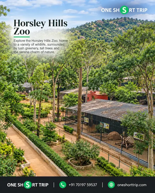Horsley Hills Zoo on Horsley Hills tour from Bangalore