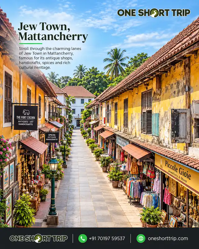 Jew Town in Kochi on Kochi and Alleppey tour