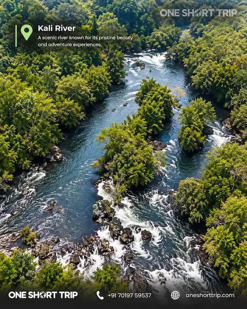 Kali River surrounded by forest on a Dandeli tour from Bangalore