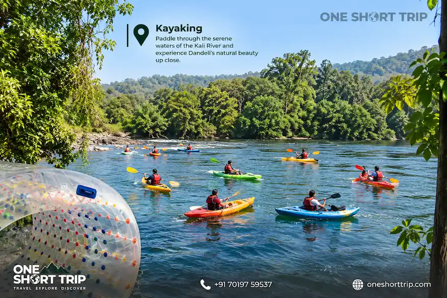 Kayaking activity on the Kali River in Dandeli