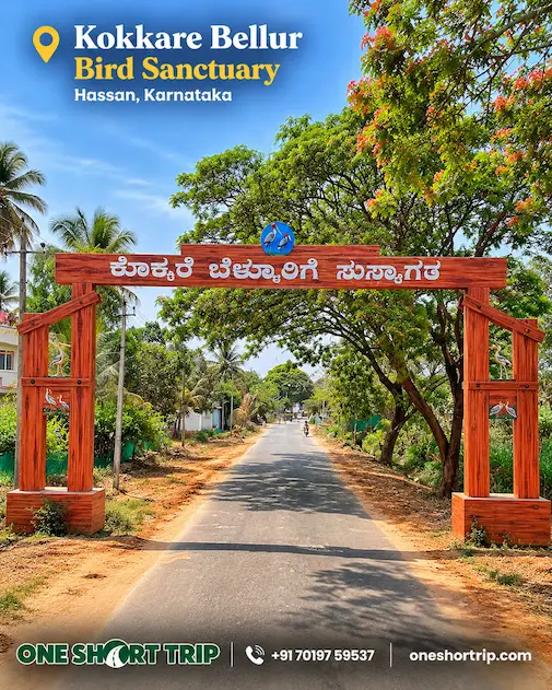 Kokkare Bellur Bird Sanctuary near the Bangalore Mysuru route