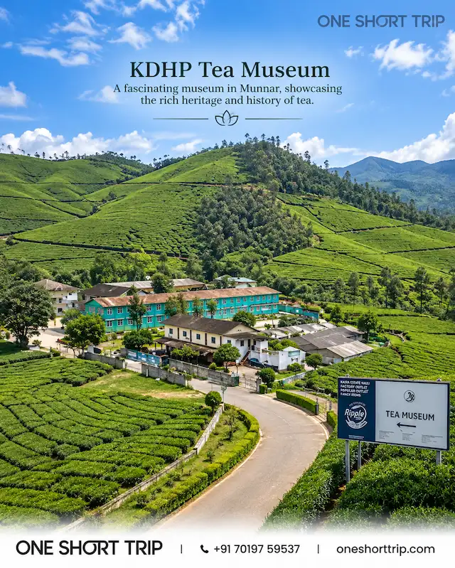 Kolukkumalai Tea Estate in the mountains near Munnar