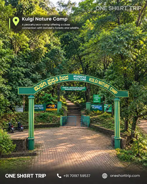 Kulgi Nature Camp in the forests near Dandeli