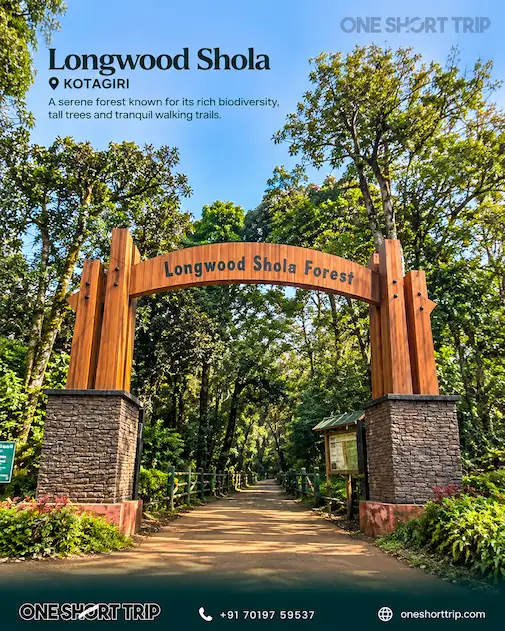 Longwood Shola Kotagiri on Nilgiris tour from Bangalore