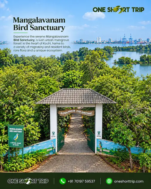 Mangalavanam Bird Sanctuary in Kochi