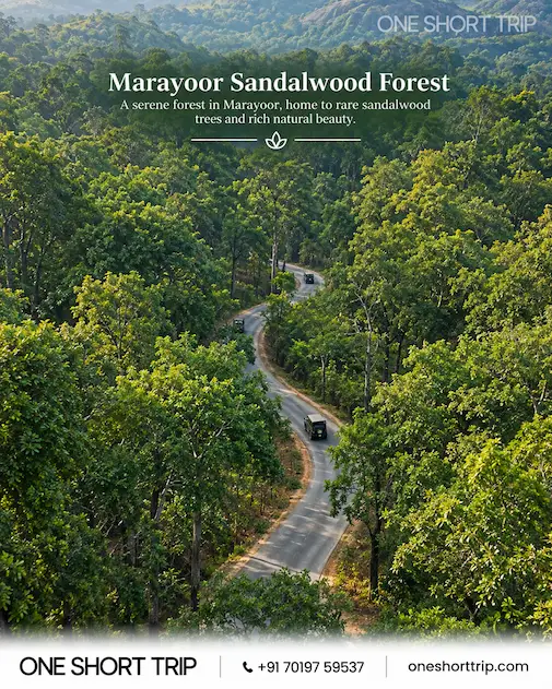 Marayoor Sandalwood Forest near Munnar Kerala