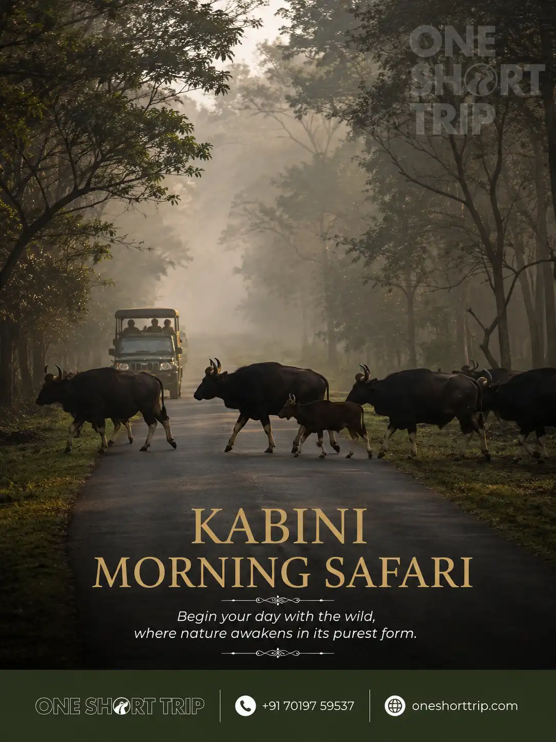Early-morning wildlife safari in the Kabini region
