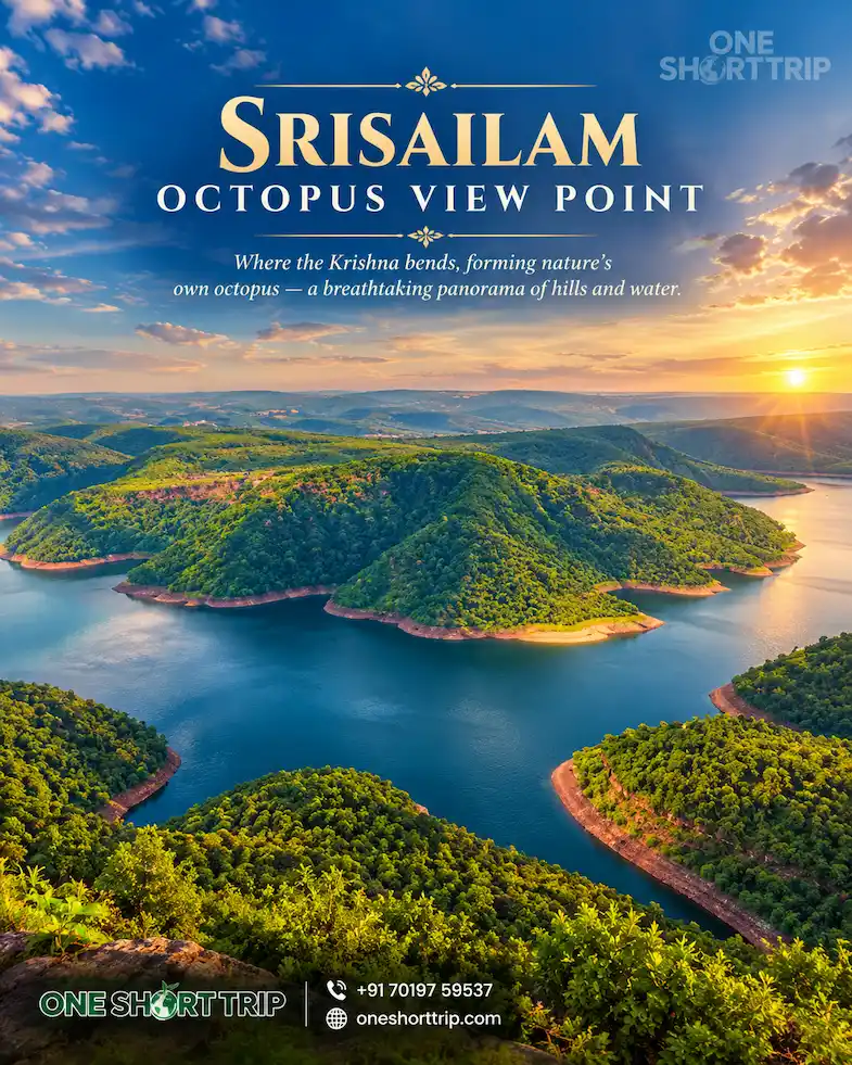 Octopus Viewpoint overlooking the Srisailam reservoir and Nallamala landscape