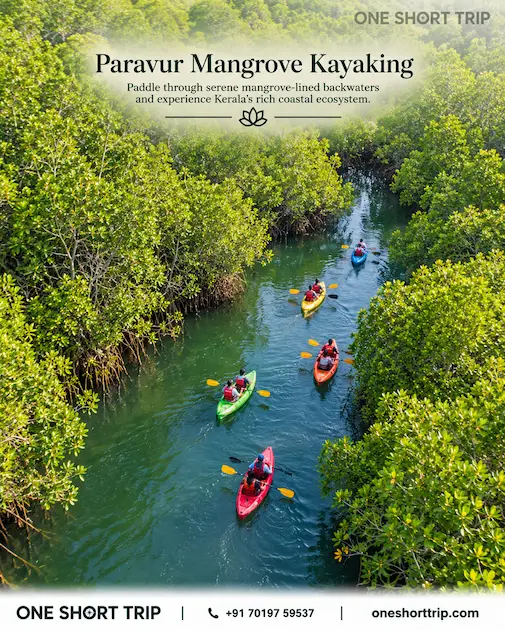 Paravur Mangrove Kayaking near Varkala