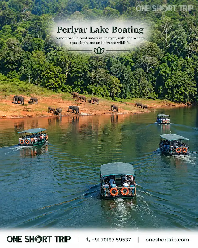 Periyar Lake boating experience in Thekkady