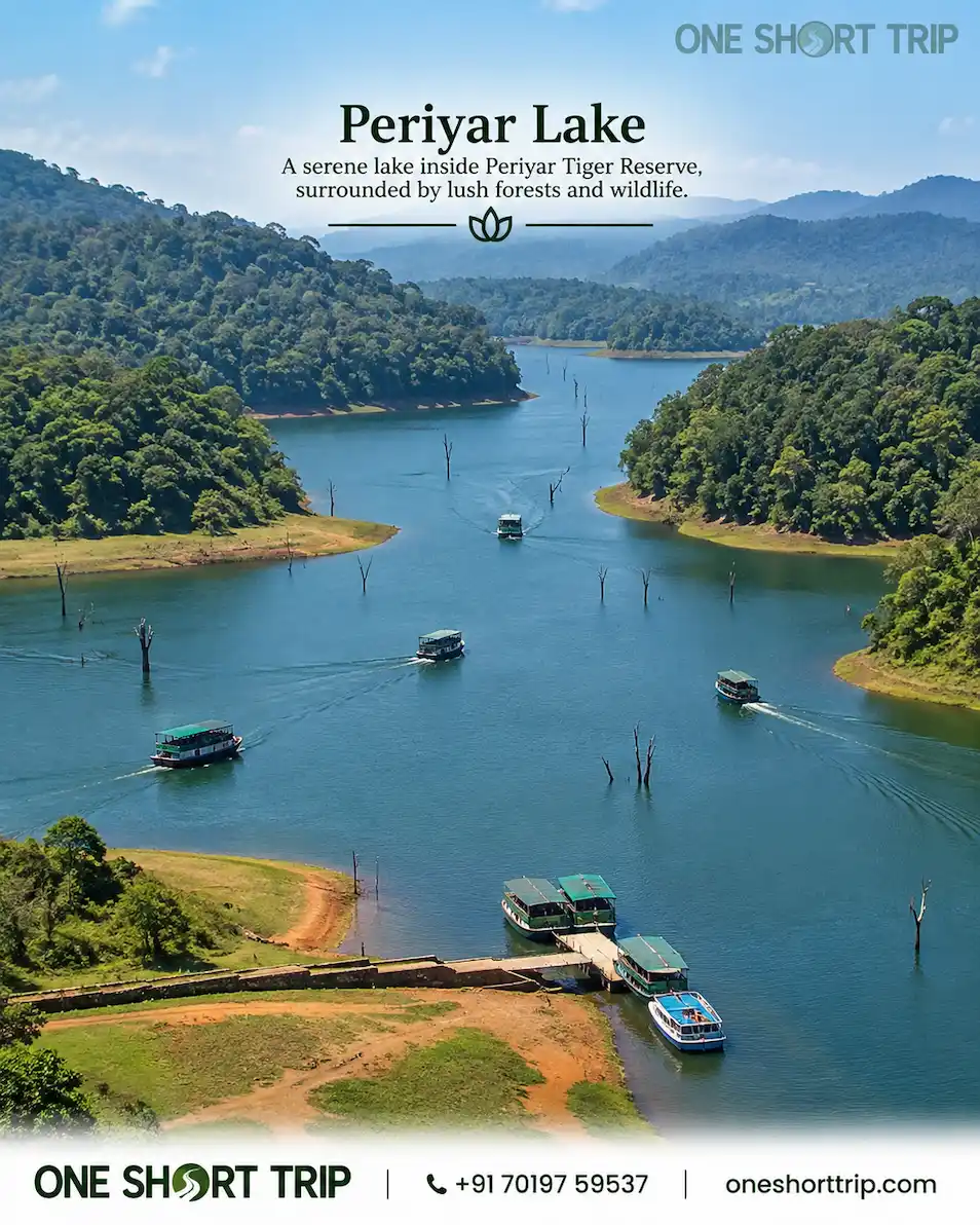 Periyar Lake in Thekkady on a tour from Bangalore