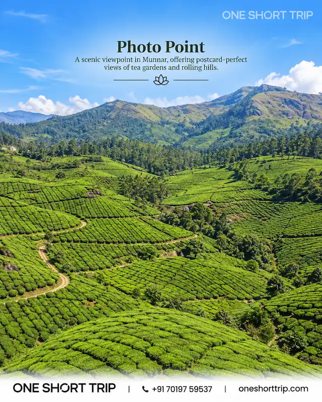 Photo Point surrounded by tea plantations in Munnar