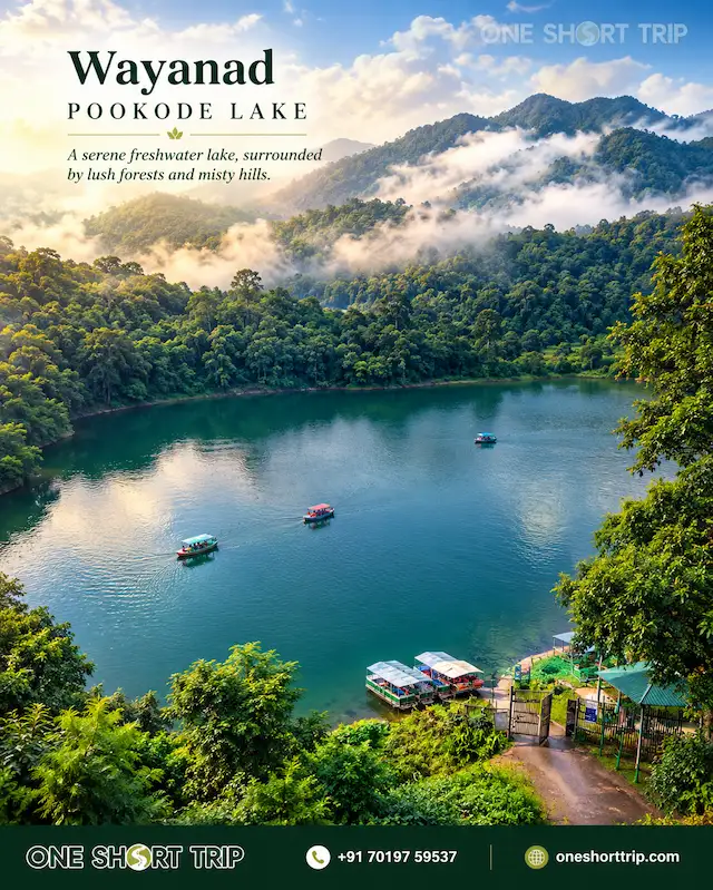 Pookode Lake surrounded by forested hills in Wayanad