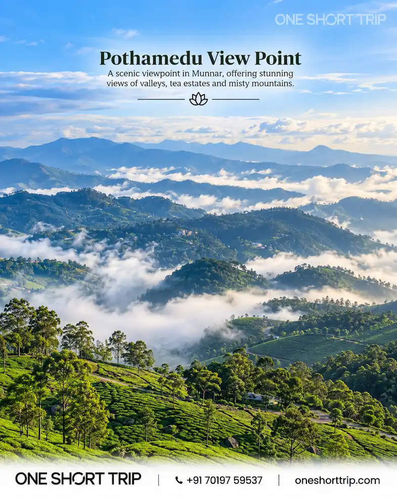 Pothamedu Viewpoint overlooking the hills and plantations of Munnar