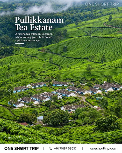 Pullikkanam Tea Estate near Vagamon on tour from Bangalore