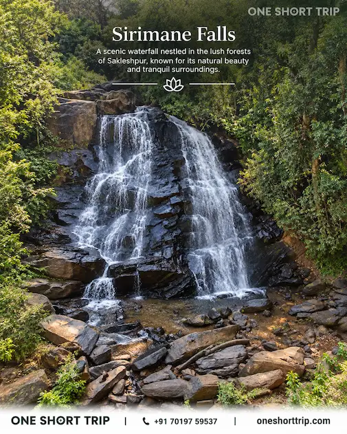 Sirimane Falls near Sringeri on Western Ghats tour