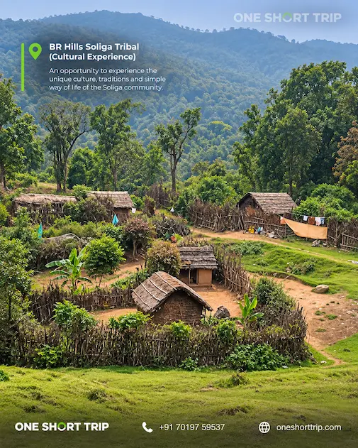 Responsible Soliga cultural experience in BR Hills