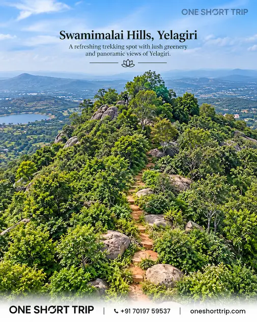 Swamimalai Hills in Yelagiri on a 2-day tour from Bangalore