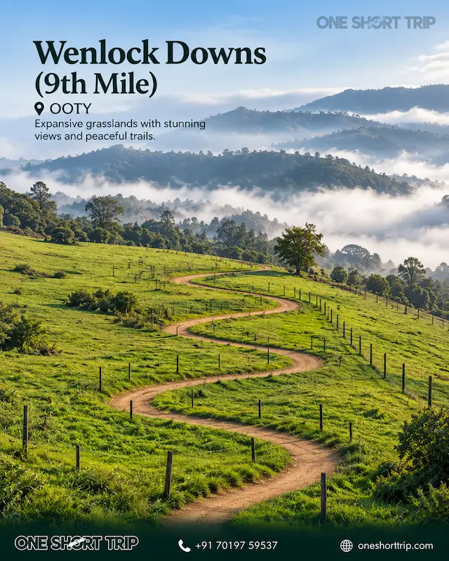 Wenlock Downs grasslands in Ooty on a tour from Bangalore