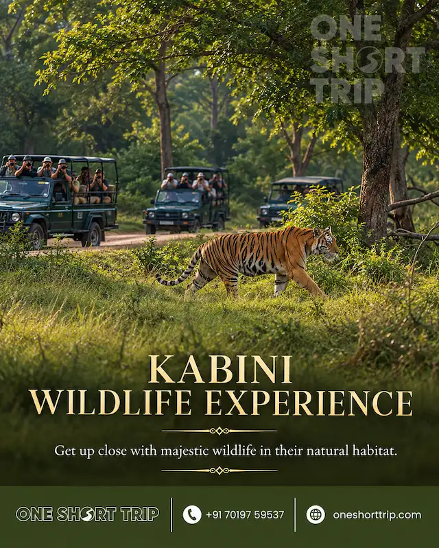 Nature and wildlife experience at a Kabini forest resort