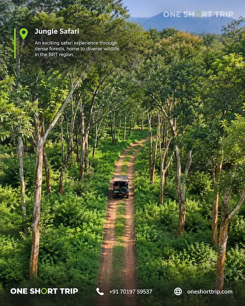 Wildlife safari experience in BR Hills