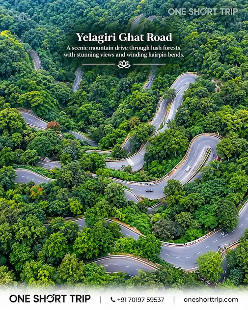 Scenic Yelagiri Ghat View on a 2-day Yelagiri tour from Bangalore